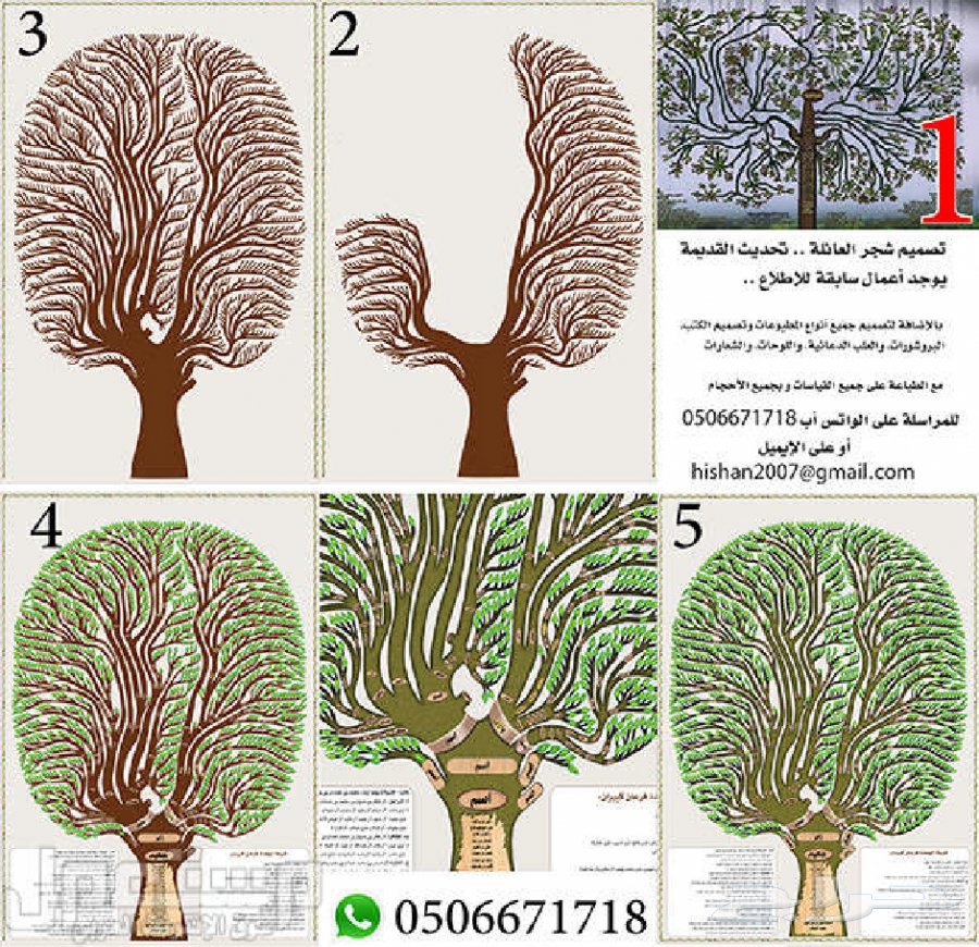 شجرة البان الكتب القديمة