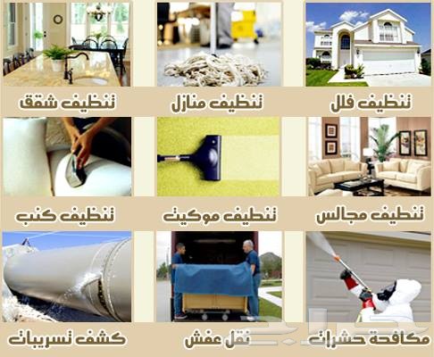 شركات مكافحة حشرات بخميس مشيط 5433848216e6f